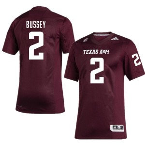 Mens Terry Bussey Maroon Texas A&M Aggies #2 College Football Official Jerseys 638915-881
